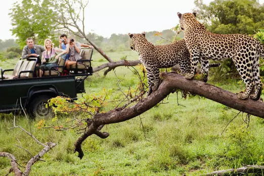 تور آفریقای جنوبی از مشهد ویژه نوروز